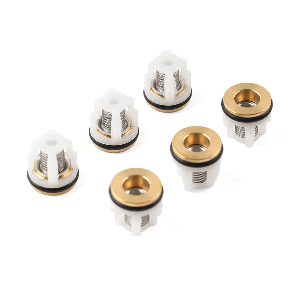 CHECK VALVE KIT 42123 For Annovi Reverberi RMW RMV SRMV Pressure Washer Pump