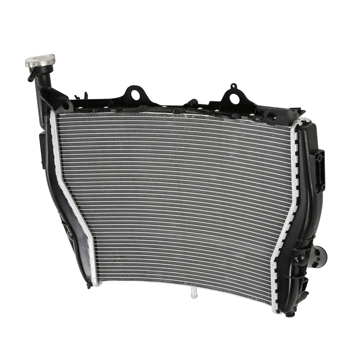 Radiator Cooler Cooling Fit For BMW S1000RR 2009-2018 HP4 RACE 2018